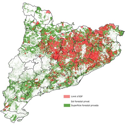 Sup forestal privada